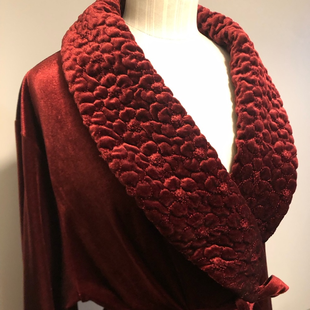 Elegant Velvet Maroon Robe - Picture 2 of 9